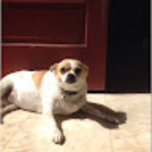 Meet your Posher, Dave